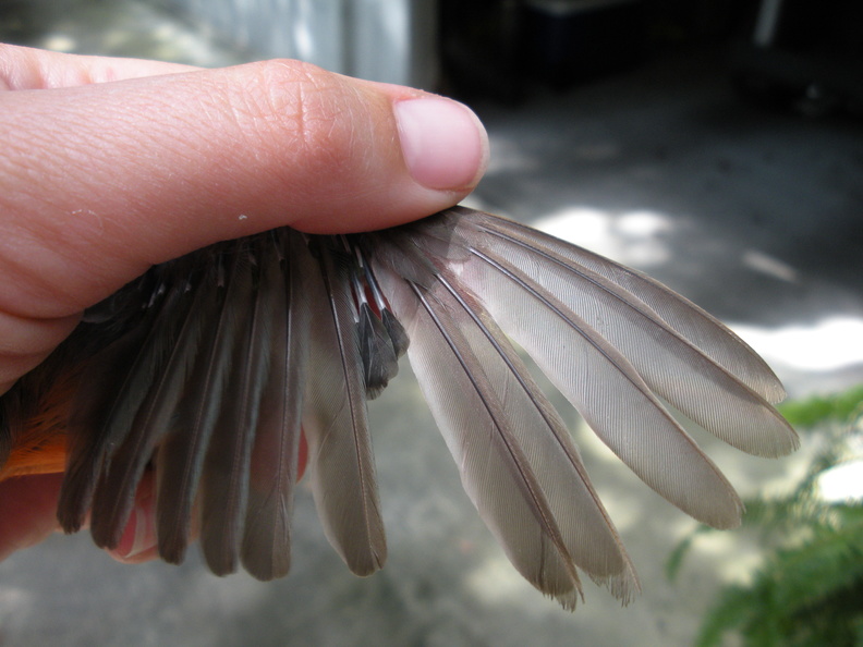 DSCN0718.jpg